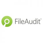 FİLE AUDIT