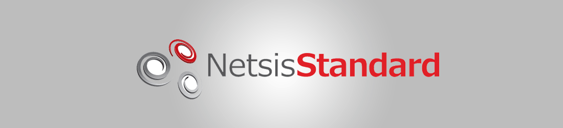 netsis standart 1