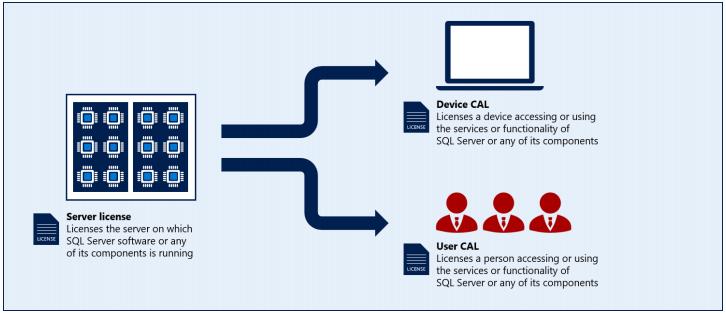 server cal 1