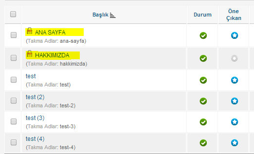 Bogazici Kilitli Makale