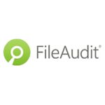 FİLE AUDIT